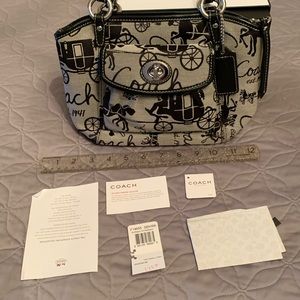 Coach horse carriage